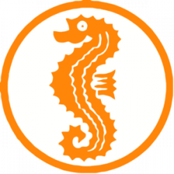 Seepferdechen-Aufnäher